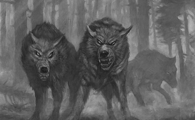 A Terror in Mirkwood